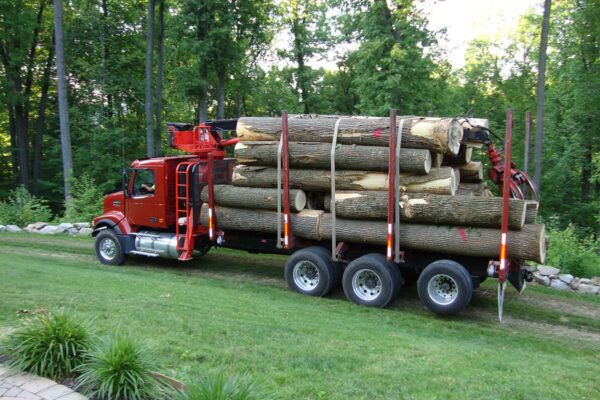 Mit dicken Holzstämmen beladener Holztransporter fährt auf ECORASTER Waldweg mit Bäumen im Hintergrund
