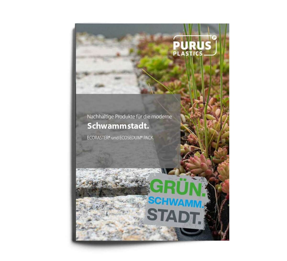 Vorderansicht des Schwammstadt Flyers