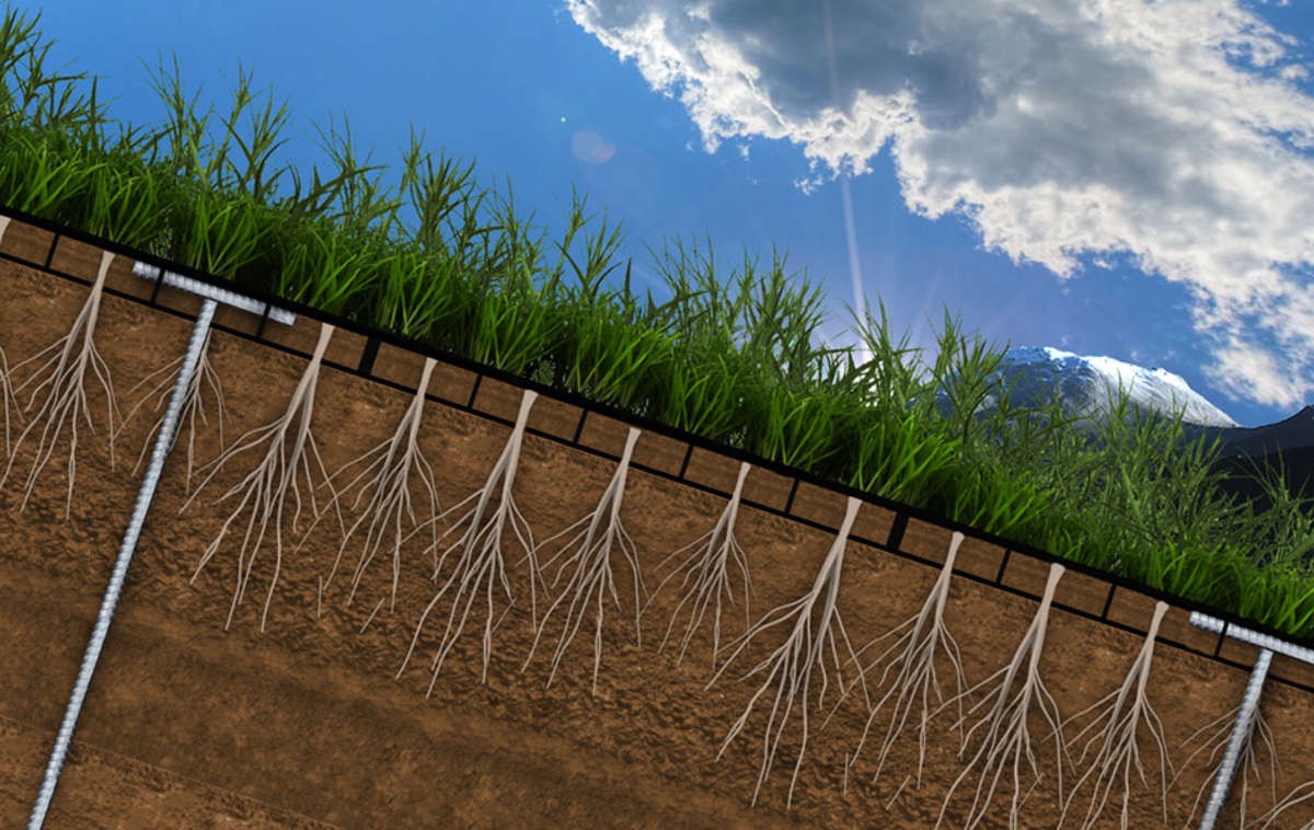 Grafische Darstellung eines Querschnitt einer ECORASTER Fläche mit Erdnägeln in der Schräge
