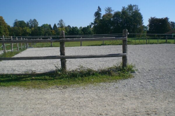Paddock