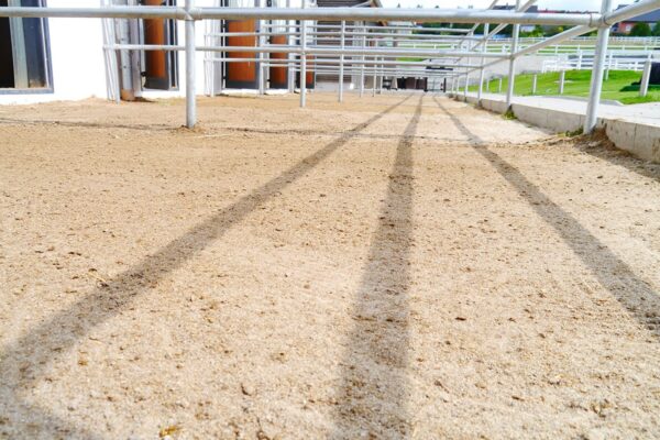 Nahansicht der Oberfläche eines Paddocks mit Stall im Hintergrund