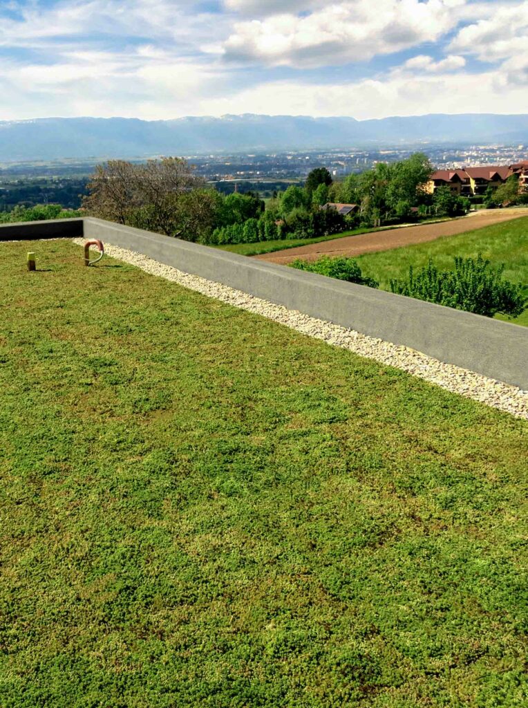 Gründach mit Sedum-Bepflanzung, installiert mit dem ECOgreen System von PURUS PLASTICS und mit Blick in die Landschaft.