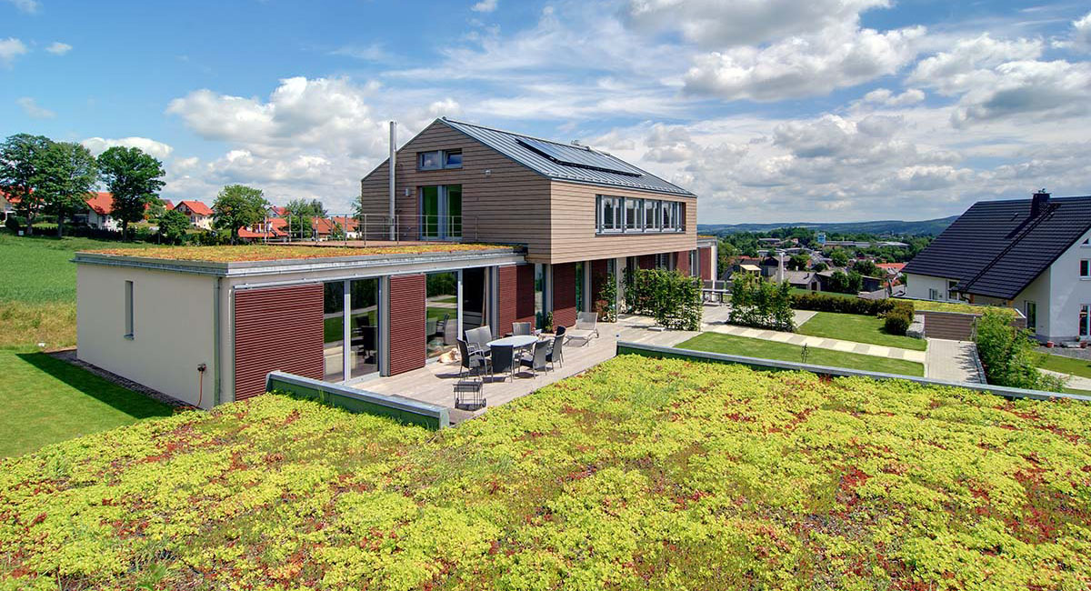 Dachbegrünung ECOgreen PACK auf einem privaten Hausdach mit Wohngebiet im Hintergrund