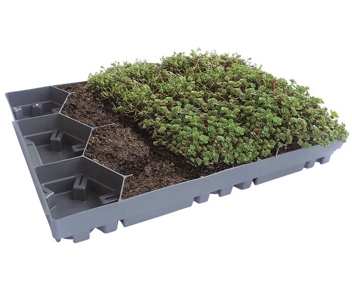 Freigestellters einzelnes ECOgreen PACK Modul zeigt den Aufbau und die Befüllung mit Erde und Sedum-Bepflanzung