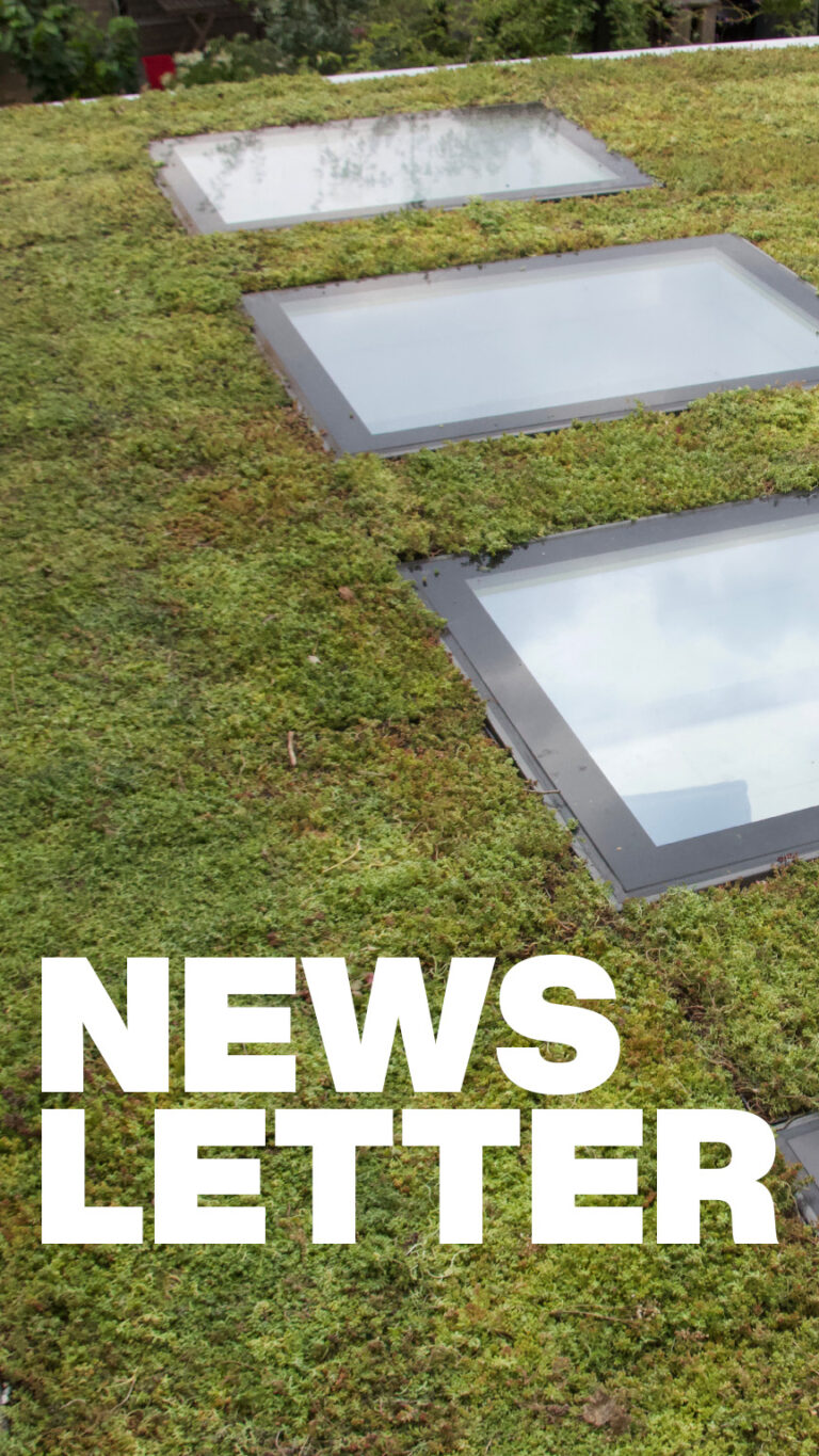 Ein begrüntes Flachdach mit Fensterelementen in der Mitte