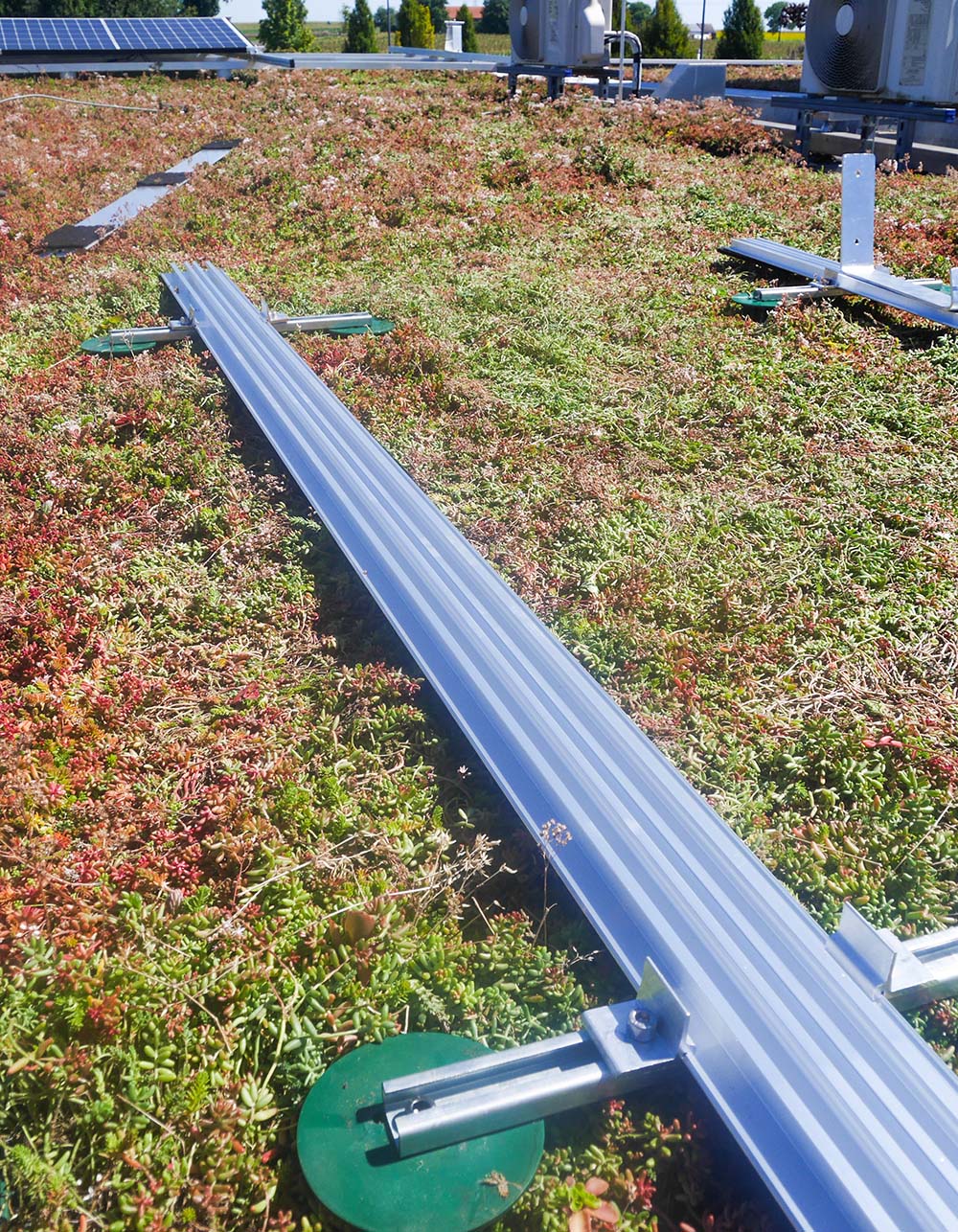 Schiene zur Befestigung einer PV-Anlage auf einem Dach mit Begrünung
