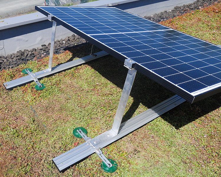 Photovoltaik Elemente auf einer Dachbegrünung angebracht