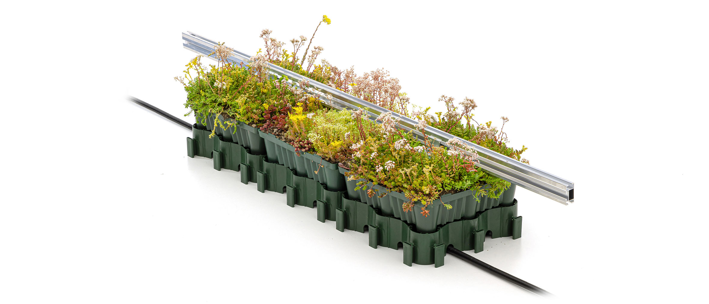 Freigestellte Ansicht von drei begrünten ECOgreen System Modulen mit Schiene für PV und Kabel