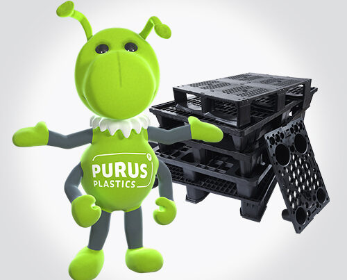 Fidus und Palettenstapel vor hellgrauem Hintergrund